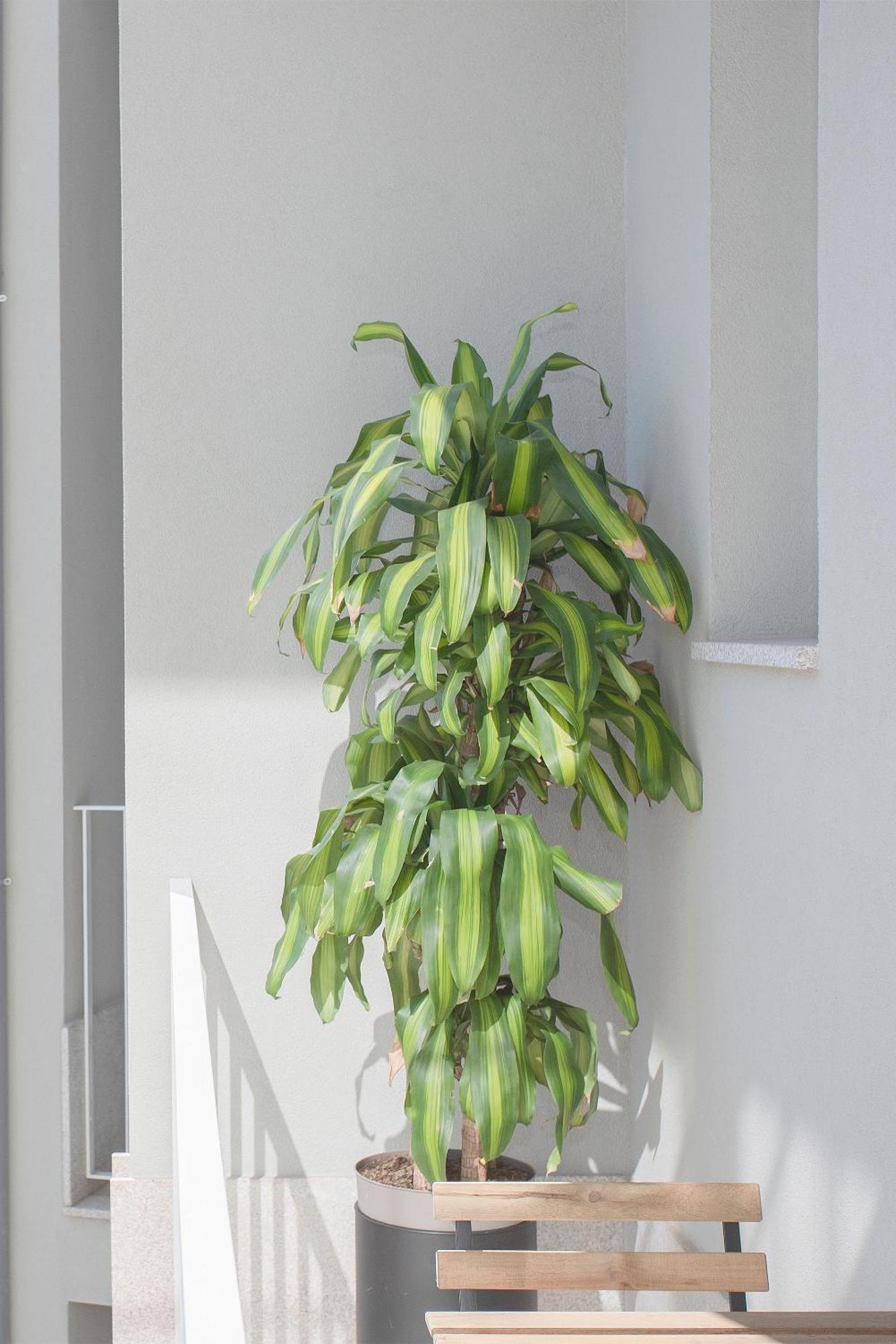 Liiiving In - Art Design Apartamento Porto